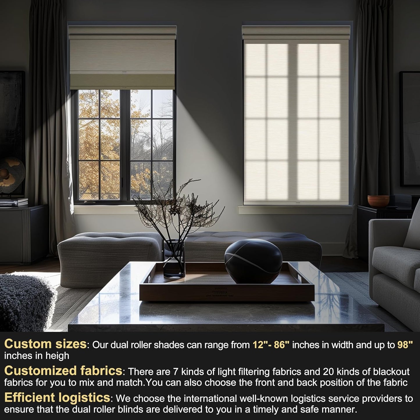 BERISSA Cordless Dual Roller Shades with Cassette Valance, Double Window Shades Blackout and Light Filtering, Day and Night for Home Office Door. Striped Jacquard Beige. 24 W x 64" H