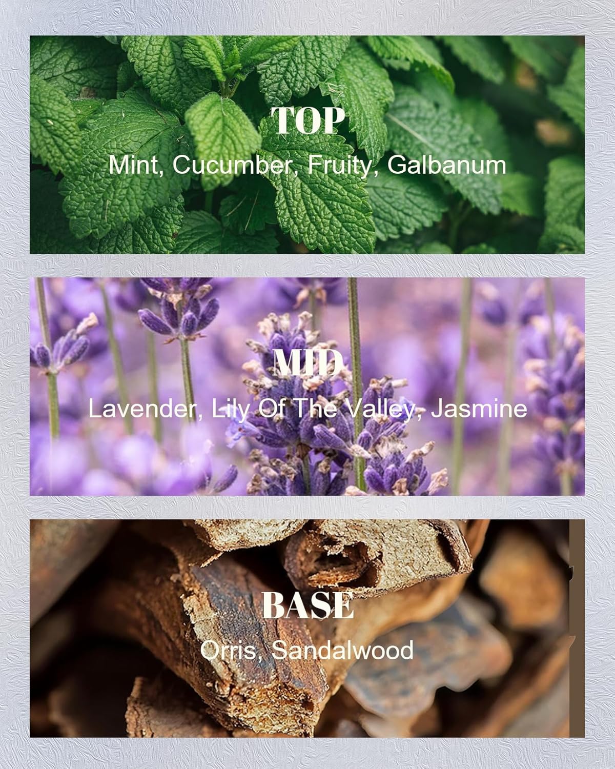 M&SENSE Mint Lavender Scented Soy Candles - Vegan, Heavy Scented, No Toxin Relaxing Candles for Stress Relief, 10oz 42-Hour Burn Time, Housewarming Gift for Women Man