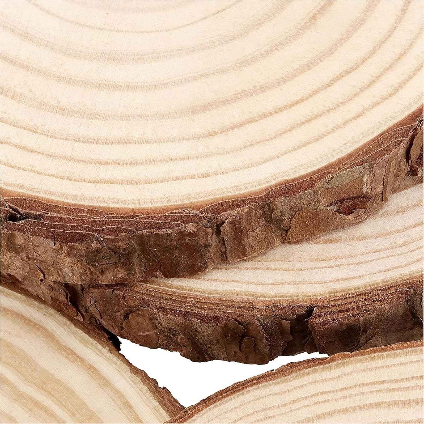 FUNSUEI 12 PCS 5.9-6.3 Inch Unfinished Natural Wood Slices, Natural Wood Coasters with Bark, Wooden Circles for DIY Arts and Crafts, Christmas Ornaments,Rustic Wedding Ornaments
