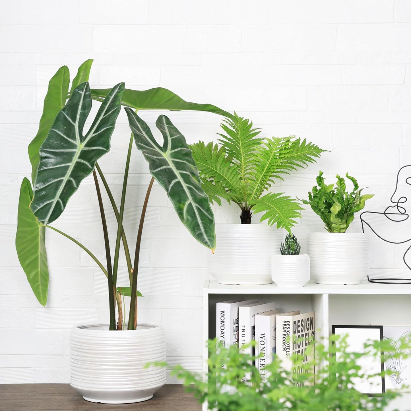 10 Inch Ceramic Plant Pot with Drainage – Large Flower Pot for Indoor Outdoor Plants, Modern Decorative Planter for Patio, Balcony, Garden, or Home Decor