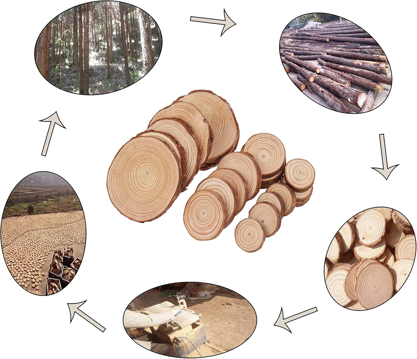 Natural Wood Slices, Tiberham 21 Pcs 1.2-3.9 Inches Unfinished Wooden Circles Round Rustic Wood with Bark, Solid Log Discs Craft Wood Kit for Arts DIY Crafts Christmas Home Decorations
