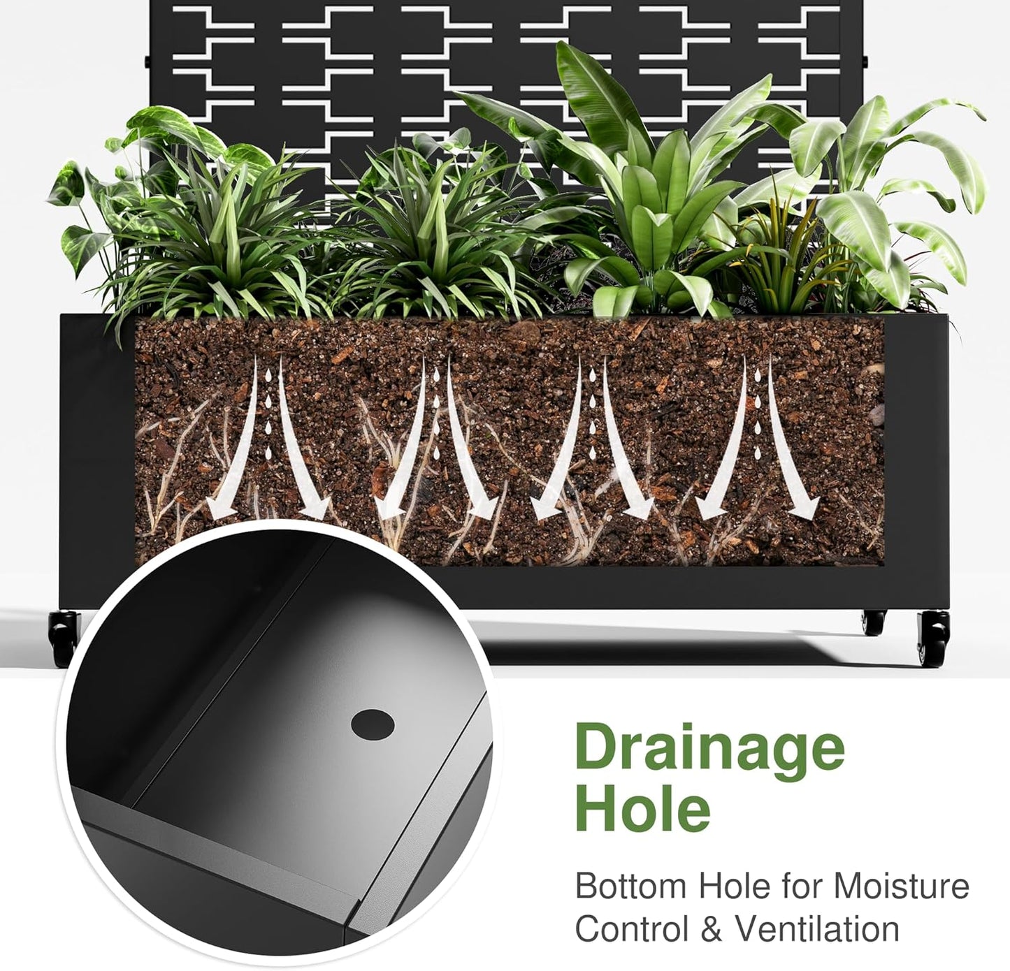 Casaphoria Metal Raised Garden Bed with Trellis and Wheels, 47"x47"x16" Planter Box for Climbing Plants, Vegetables & Vines, Features Drainage Holes and Privacy Screen (Black-Square)