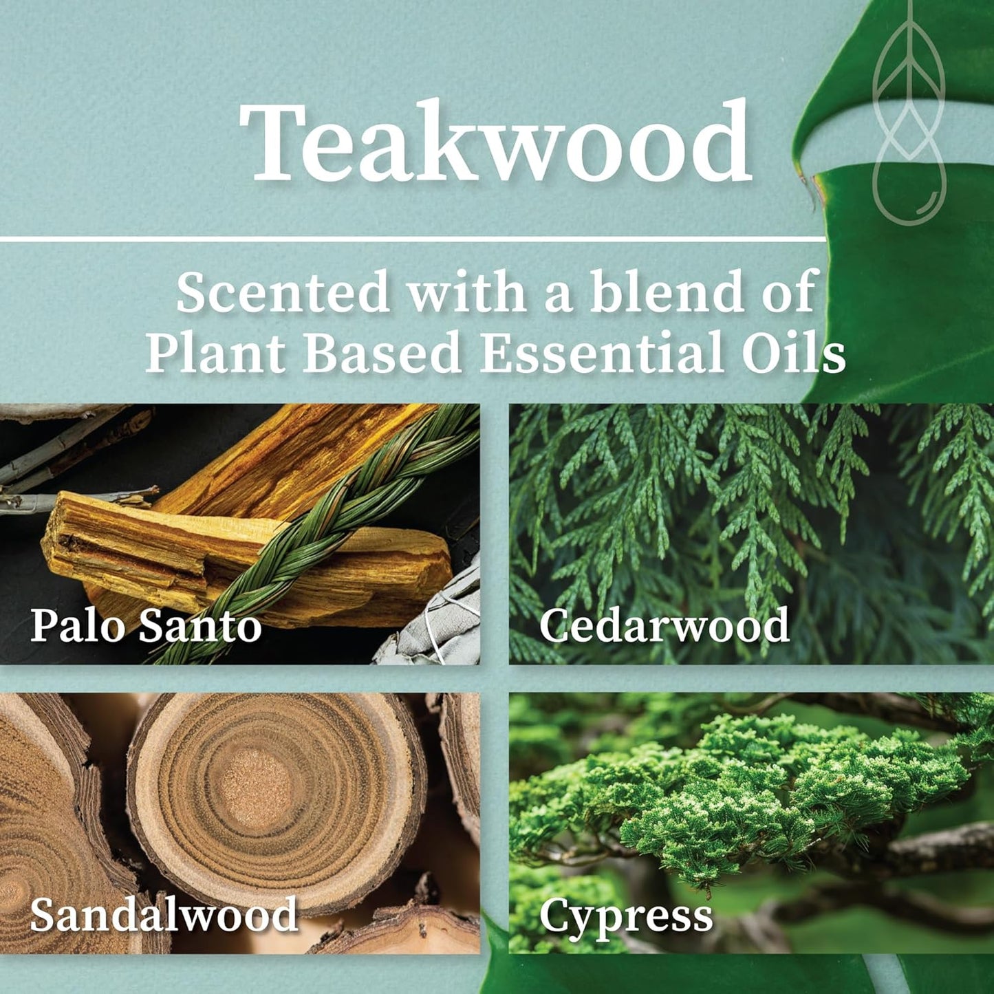 Hemlock Park Wood Wick Candle Handcrafted with Natural Coconut Wax and Essential Oils (Amber & Gold 7.2 oz, Teakwood)