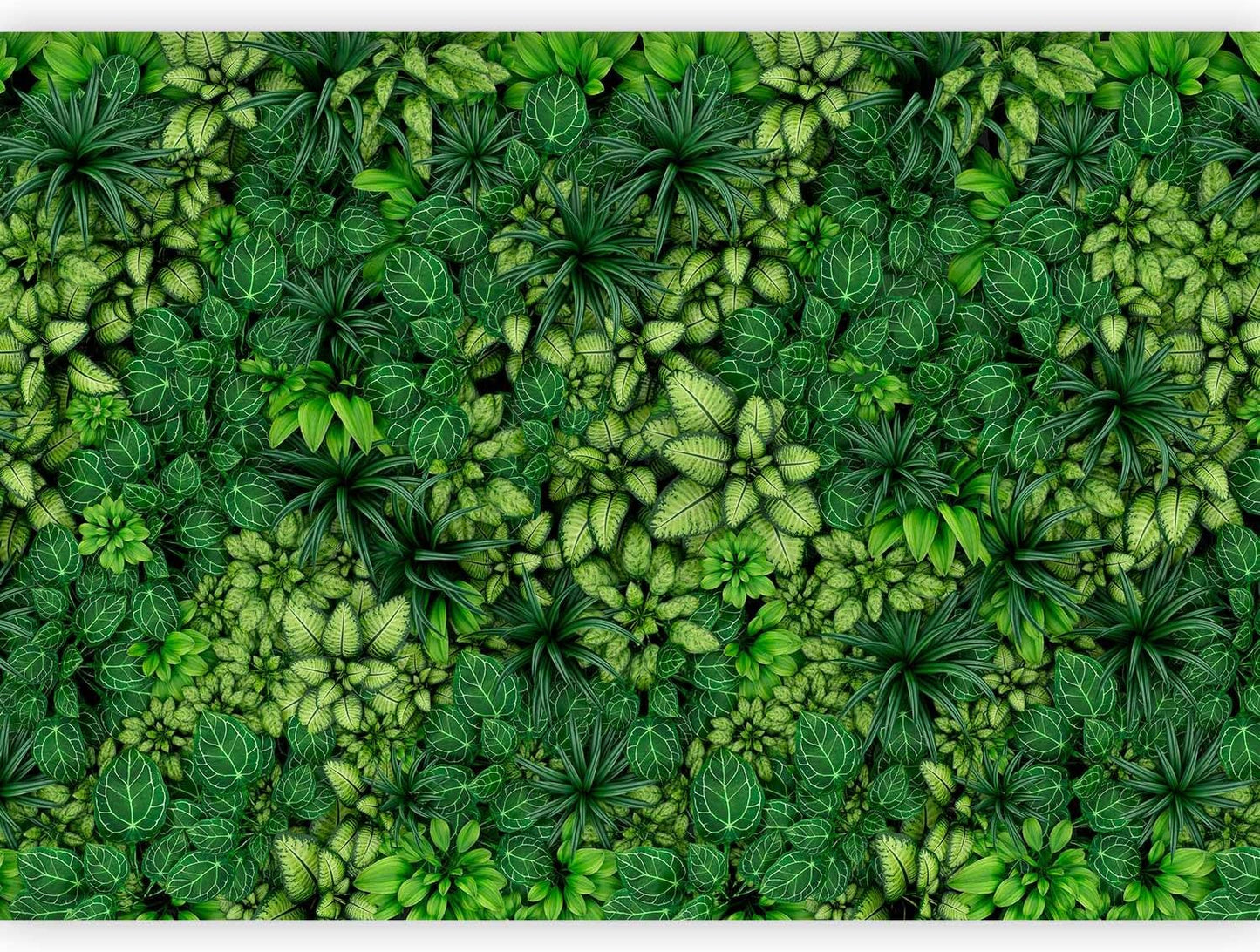 artgeist Premium Wall Mural Plants 98x69 in - XXL Non-Woven Wallpaper Fleece Wall Decor Photo Print Picture Image Design Nature Botanics Tropical Leaves b-B-0601-a-a