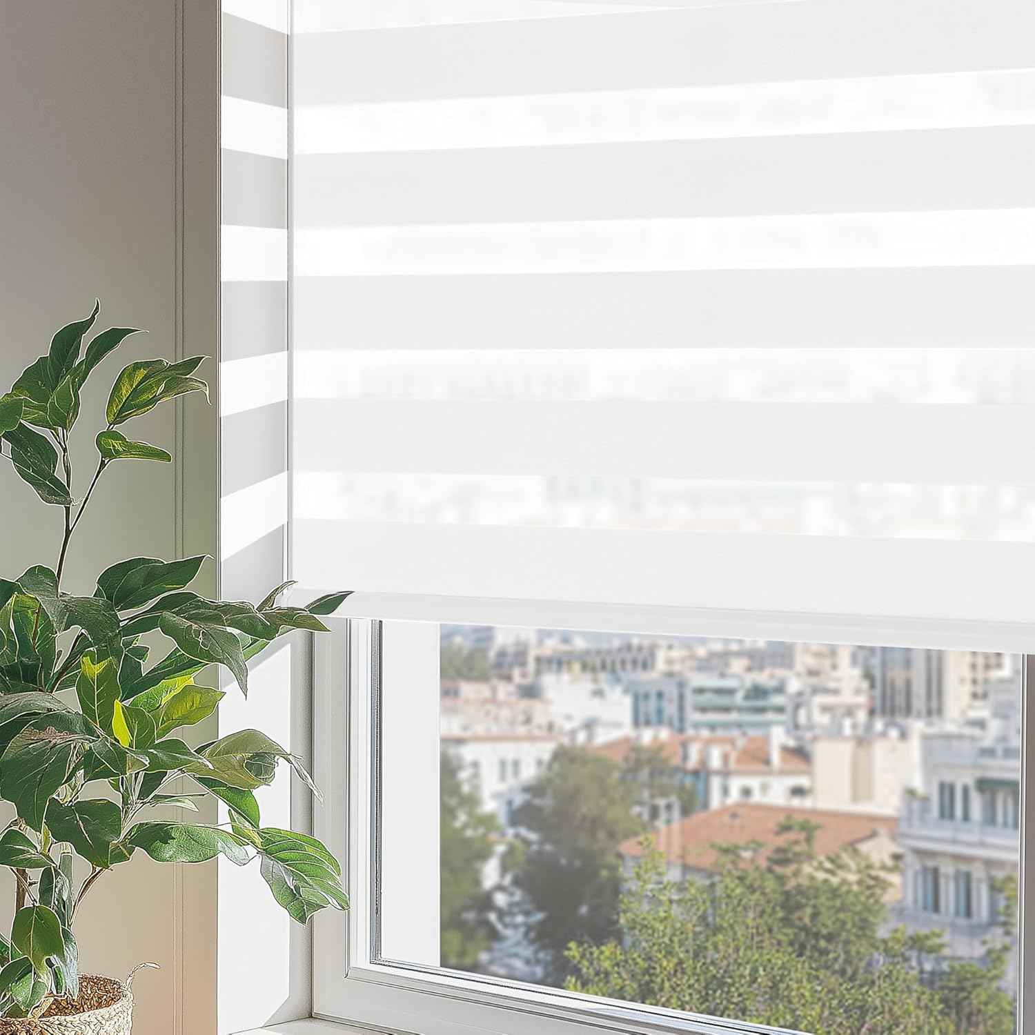ChrisDowa Cordless Zebra Blinds for Windows, Dual Layer Free-Stop Light Filtering Window Roller Shades, Pull Down Privacy Zebra Shades for Home, Office, Bedroom, Door (69" W x 72" H, White)