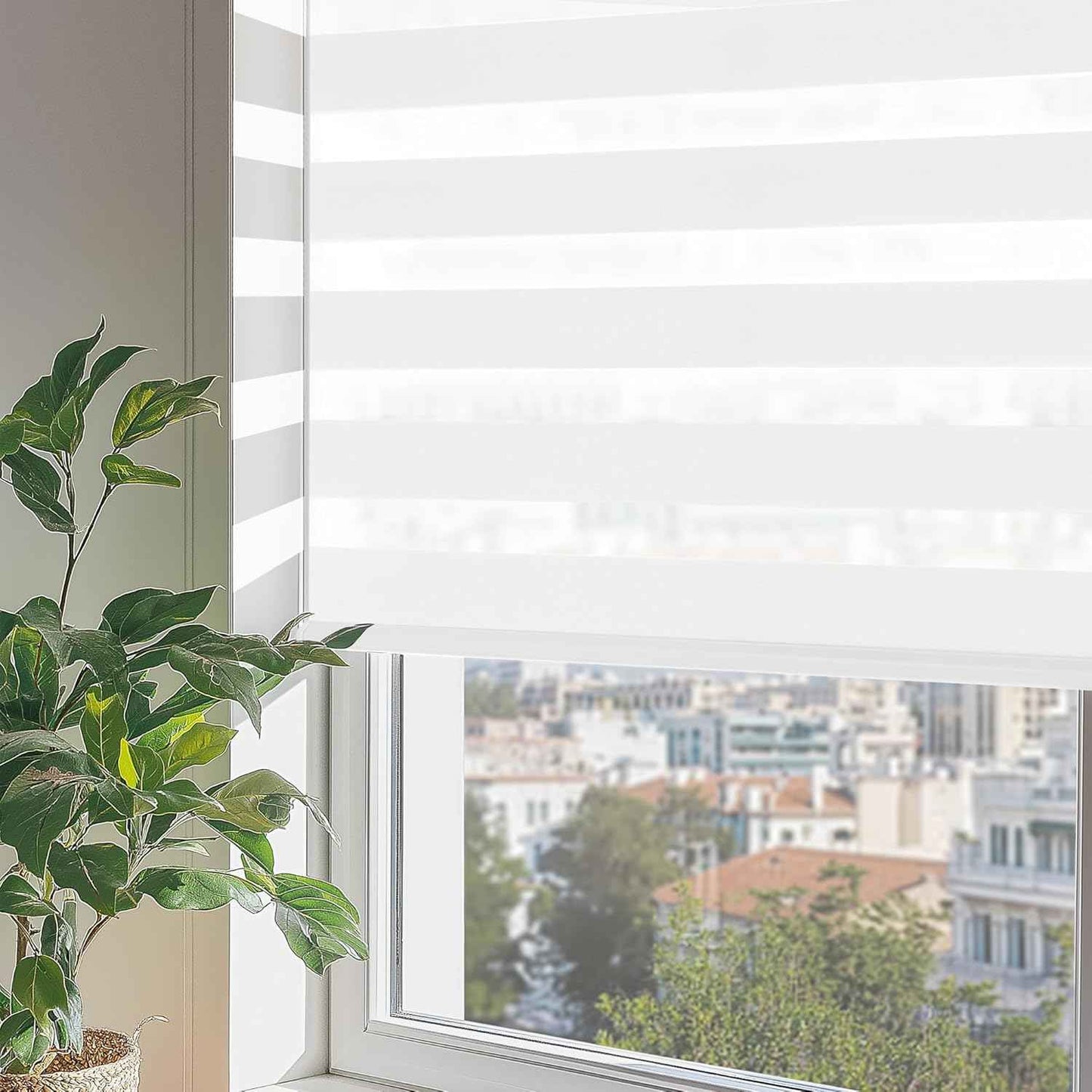 ChrisDowa Cordless Zebra Blinds for Windows, Dual Layer Free-Stop Light Filtering Window Roller Shades, Pull Down Privacy Zebra Shades for Home, Office, Bedroom, Door (34" W x 72" H, White)