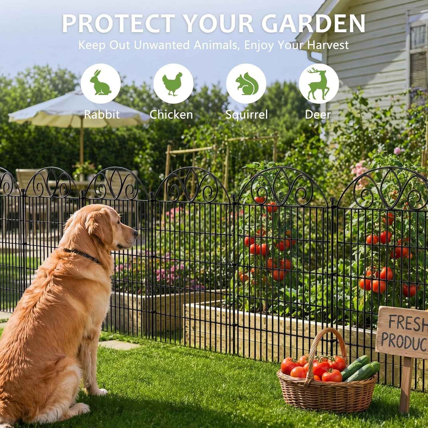 10 Panels No Dig Decorative Garden Fence Panel – 28" H X 19.6' L Rustproof Metal Dog Fence Outdoor for Yard, Animal Barrier Fence for Pet, Garden Border, Patio, Flower Beds| Temporary Fencing