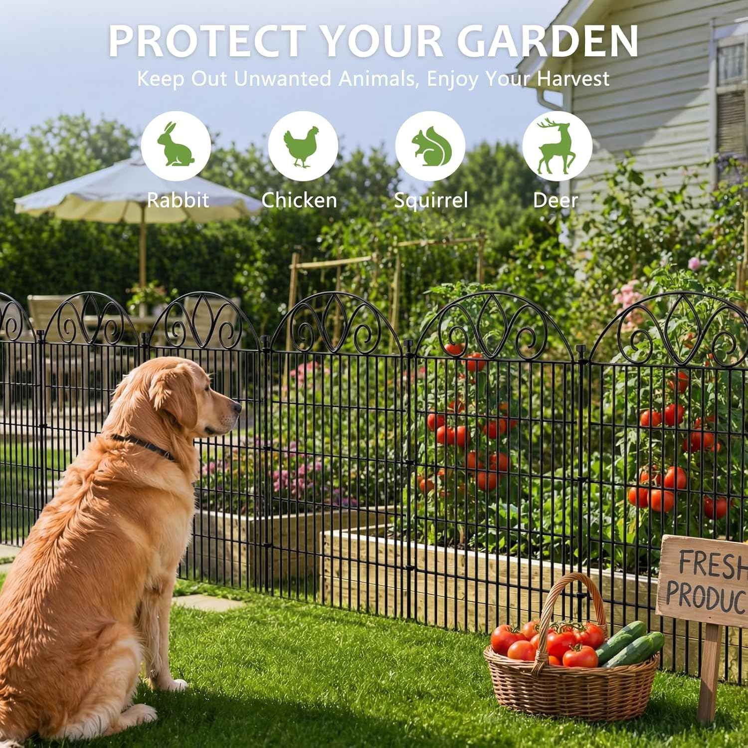 10 Panels No Dig Decorative Garden Fence Panel – 28" H X 19.6' L Rustproof Metal Dog Fence Outdoor for Yard, Animal Barrier Fence for Pet, Garden Border, Patio, Flower Beds| Temporary Fencing
