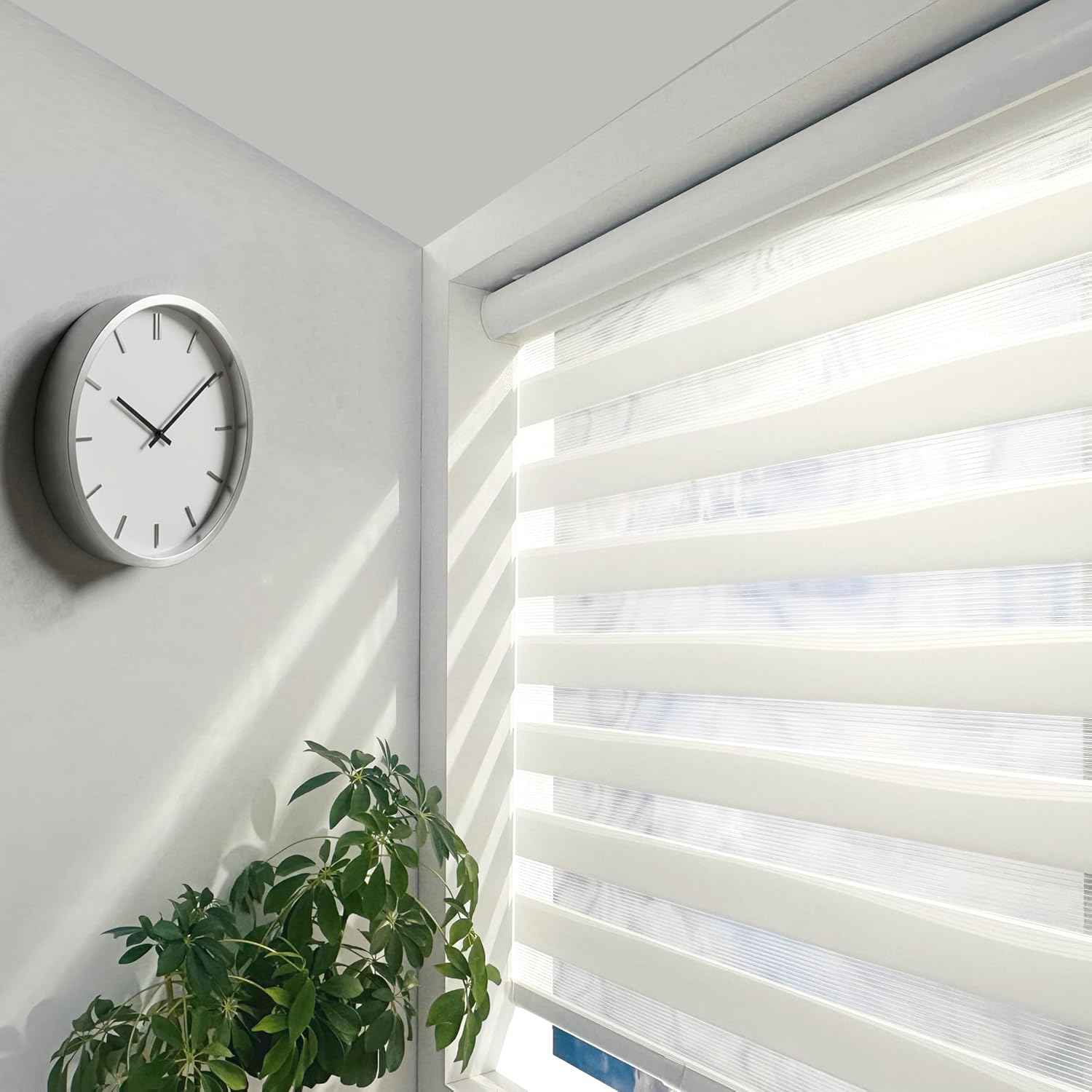 ShadesU Cordless Zebra Blinds – Light Filtering Dual-Layer Window Shades for Privacy (White Color) (Maximum Height 72") (Width 34")