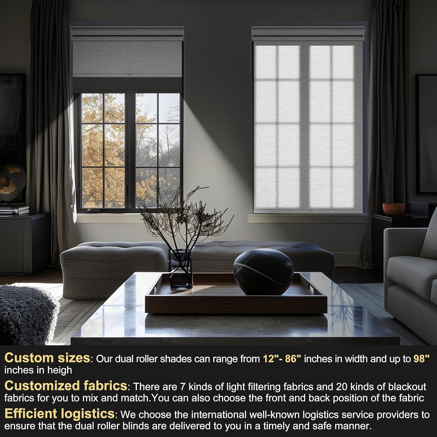 BERISSA Cordless Dual Roller Shades with Cassette Valance, Double Window Shades Blackout and Light Filtering, Day and Night for Home Office Doors. Grey and White. 74 W x 64" H