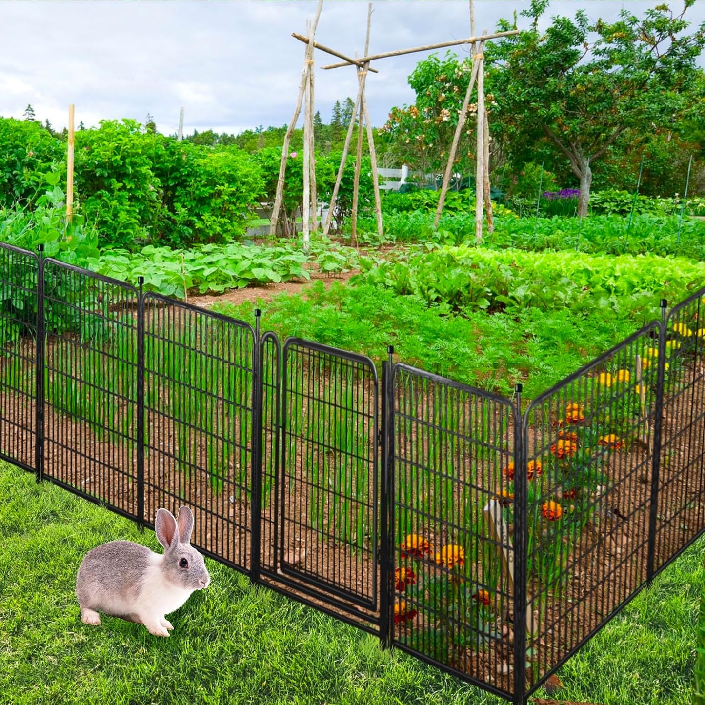 Tall Garden Fence and Borders,Wide Gate Low Threshold Fence Panels, 40in(H) 4 Panels Total 8.9 Ft(L) Animal Barrier Fence, Heavy Metal Dog Fence Outdoor for Yard