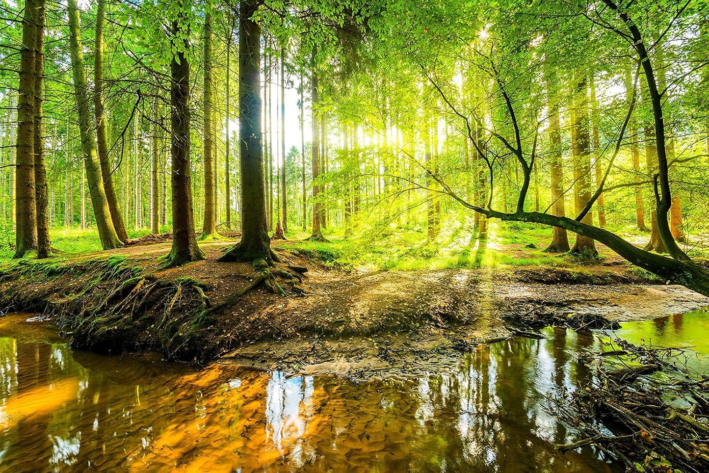 Wall Mural Fall Forest Stream Wallpaper Wall Decoration Print Picture Image Design for Bedroom, Living Room, Kids Room (Not Self-Adhesive)