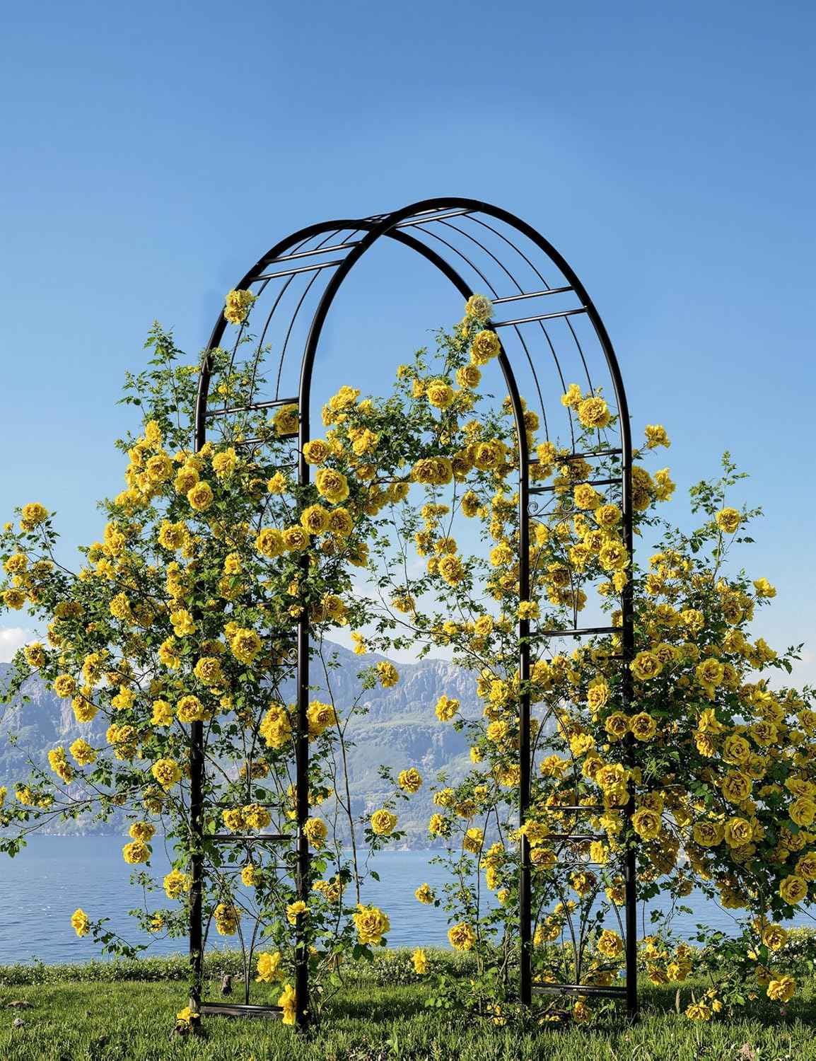 8 FT Metal Garden Arch Trellis Arbor – Wide, Rustproof Outdoor Steel Archway with Ground Stakes – Supports Climbing Plants – Perfect for Weddings, Parties, Lawn & Garden Decor – Black
