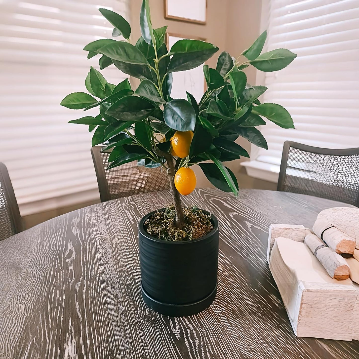 6 Inch Plant Pots, Ceramic Planter Pot with Drainage Hole & Saucer, Indoor/Outdoor Cylinder Round Planter Pot, Matte Black