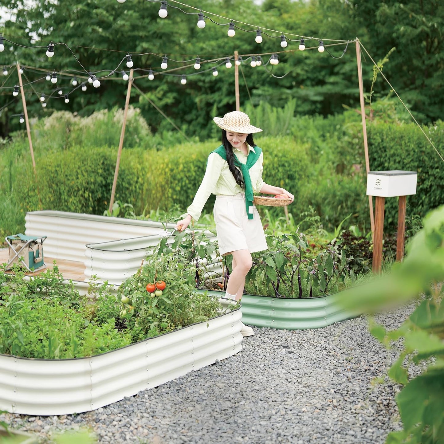 DaisyVibe Raised Garden Bed Kit, Planter Raised Garden Boxes Outdoor, Oval Large Metal Raised Garden Beds for Vegetables Flowers (White, 6.5ftx2ftx1ft)