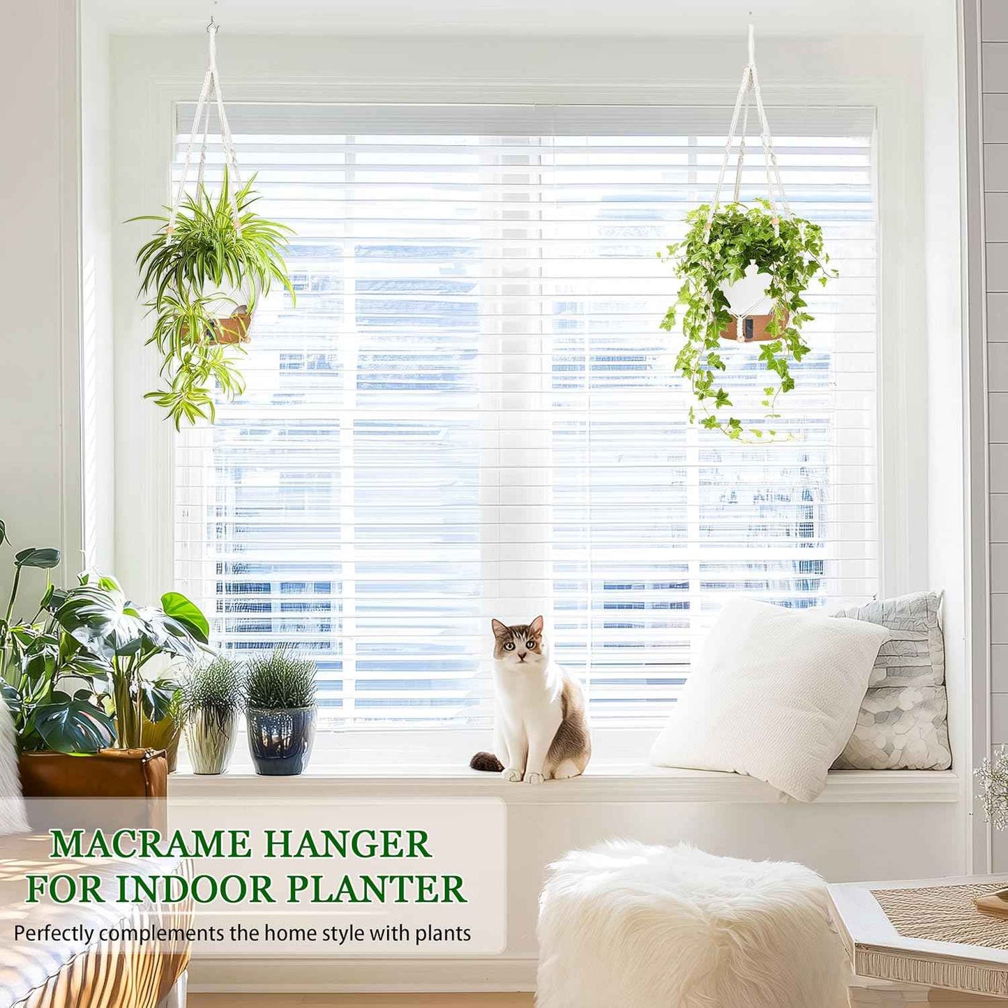 10 Inch Hanging Planters for Indoor Plants, 2 Pack Self Watering Hanging Baskets Flower Pots with Drainage Hole, Visual Reservoir & 2 Kinds of Plant Hanger for Outdoor Garden Home Decor (White)